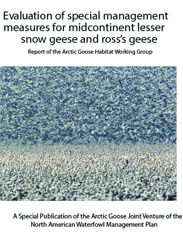 Évaluation des mesures spéciales de conservation pour les Petites Oies des neiges du Centre du continent et l’Oie de Ross