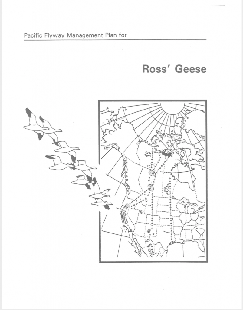 Plan de gestion de l’Oie de Ross